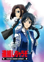 Taiho Shichau zo