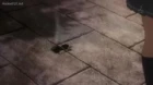 Amagami SS episodio 23