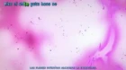 Valvrave the Liberator episodio 2