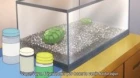 Hentai Ouji to Warawanai Neko episodio 3