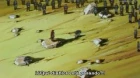 Berserk episodio 23