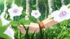 Genei wo Kakeru Taiyou episodio 9