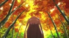 Non Non Biyori episodio 8