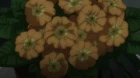 Galilei Donna episodio 6