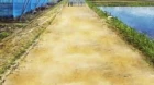 Nourin episodio 5