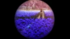Blade & Soul episodio 5