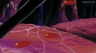 Dragon Ball Kai: Majin Buu-hen episodio 50