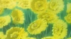 Majutsushi Orphen Revenge episodio 21
