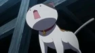 Nyan Koi! episodio 12