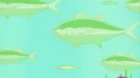 Mermaid Melody Pichi Pichi Pitch episodio 45