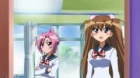 Penguin Musume Heart episodio 17