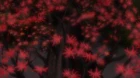 Mushishi Zoku Shou 2 episodio 10