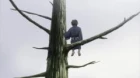 Mushishi Zoku Shou 2 episodio 8