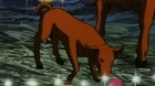 Ie Naki Ko episodio 50