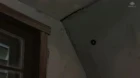 Tonari no Totoro episodio 1