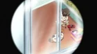Futari wa Precure: Max Heart episodio 36