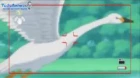 Yumeiro Patissiere episodio 37