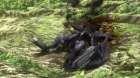 Soukyuu no Fafner: Dead Aggressor - Exodus episodio 13