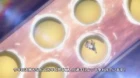Dog Days'' episodio 1