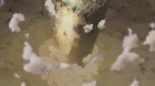 Sora wo Miageru Shoujo no Hitomi ni Utsuru Sekai episodio 1