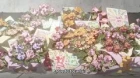 Sidonia no Kishi: Daikyuu Wakusei Seneki episodio 5