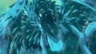 Eden's Bowy episodio 24
