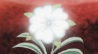 Ojamajo Doremi Sharp Movie episodio 1