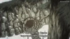 Ushio to Tora (TV) episodio 19