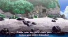 Yawaraka Sangokushi Tsukisase Ryofuko Chan episodio 2