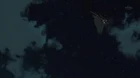Seikimatsu Occult Academy episodio 12