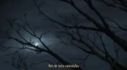 Saraiya Goyou episodio 12