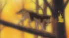Ginga Densetsu Weed episodio 24