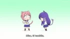 Yuyushiki: Nyanyashiki episodio 1