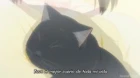 Kanojo to Kanojo no Neko: Everything Flows episodio 4