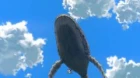 Flying Witch episodio 11