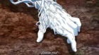 D.Gray-man Hallow episodio 9
