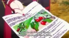 Touken Ranbu: Hanamaru episodio 6
