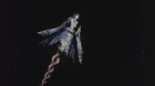 Bubblegum Crisis Tokyo 2040 episodio 25