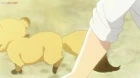 Udon no Kuni no Kiniro Kemari episodio 12