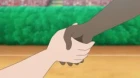 Pokemon Sun & Moon episodio 134