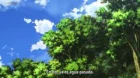 Yowamushi Pedal: New Generation episodio 13