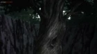 Natsume Yuujinchou Roku episodio 13