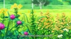 Centaur no Nayami episodio 11