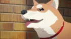 Inuyashiki episodio 9