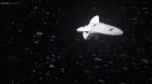 Ginga Eiyuu Densetsu: Die Neue These - Kaikou episodio 1