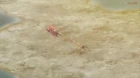 Sword Art Online Alternative: Gun Gale Online episodio 12