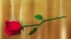 Cutie Honey Universe episodio 1