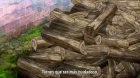 Senjuushi episodio 6