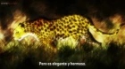 Banana Fish episodio 22