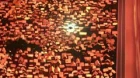 Planet With episodio 6
